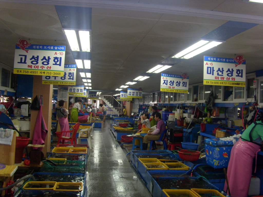 회센타 이미지
