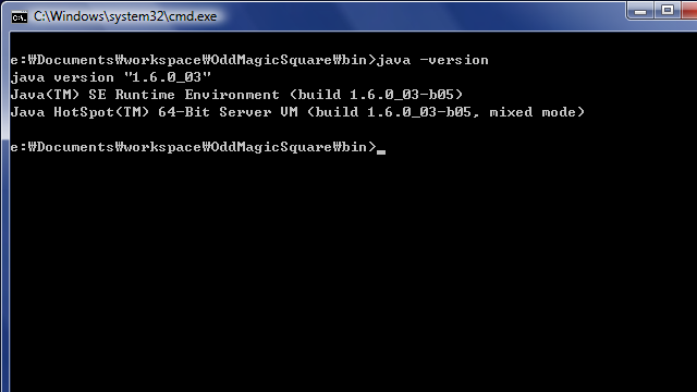 Windows Vista + JRE 1.6.0_03 64bit