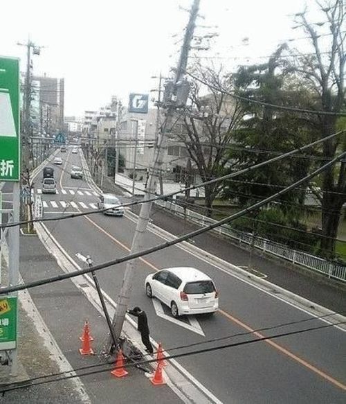뽑아뽑아 이미지